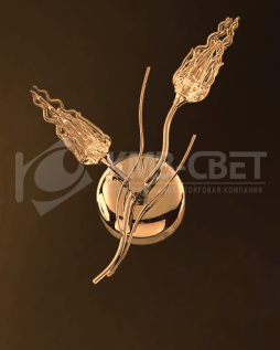 B66792/2 W, CG, WT