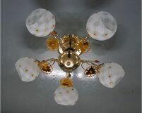 2291-5-PRO, FGD
