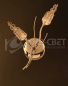 B66792/2 W, CG, WT